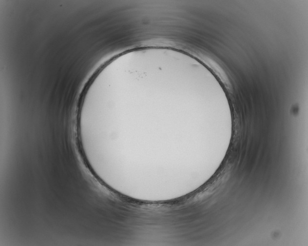 X0000116291000201001111053