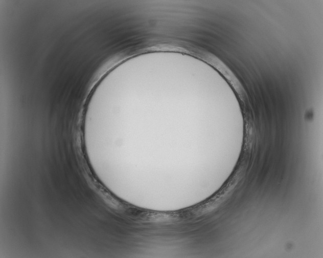 X0000116291002201001111052