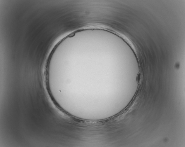 X0000116291003201001111052