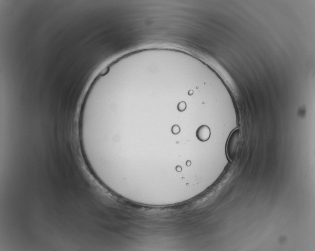 X0000116291004201001111052