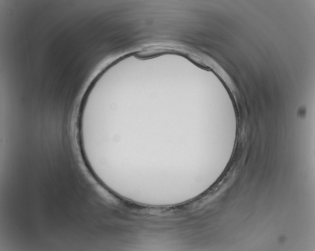 X0000116291005201001111052