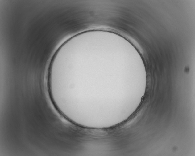 X0000116291007201001111052