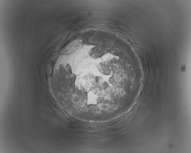 X0000116291009201001111052