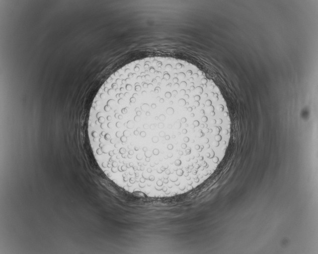 X0000116291010201001111052