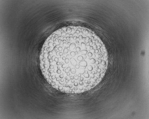 X0000116291014201001111052