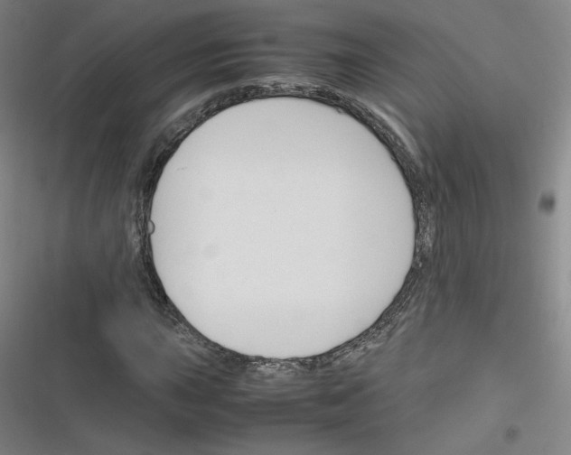 X0000116291015201001111052