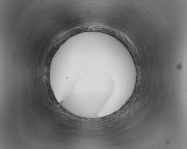 X0000116291016201001111052