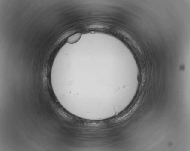 X0000116291017201001111052