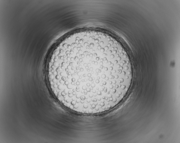 X0000116291018201001111052