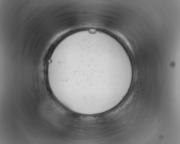 X0000116291019201001111052