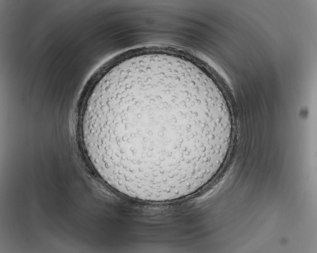 X0000116291021201001111052