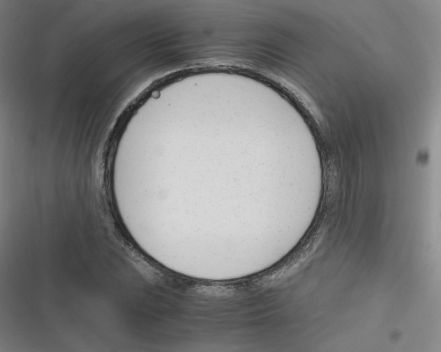 X0000116291023201001111052