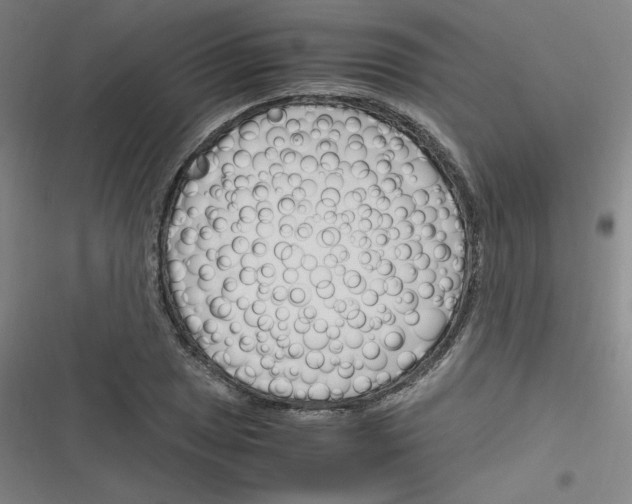 X0000116291025201001111052