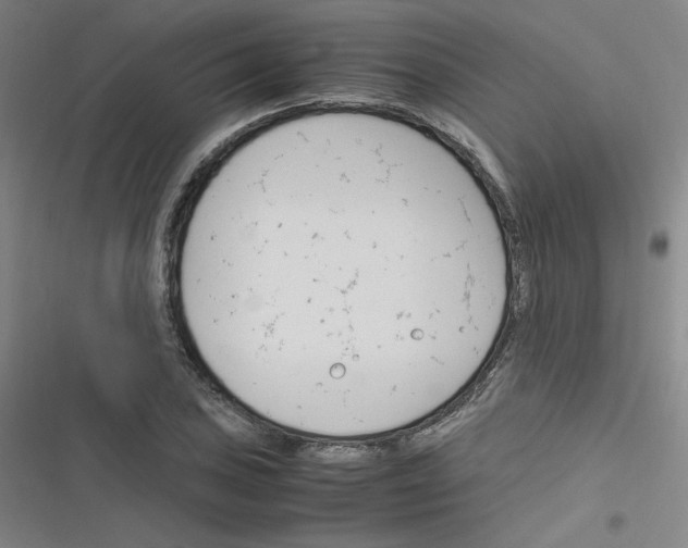 X0000116291027201001111052