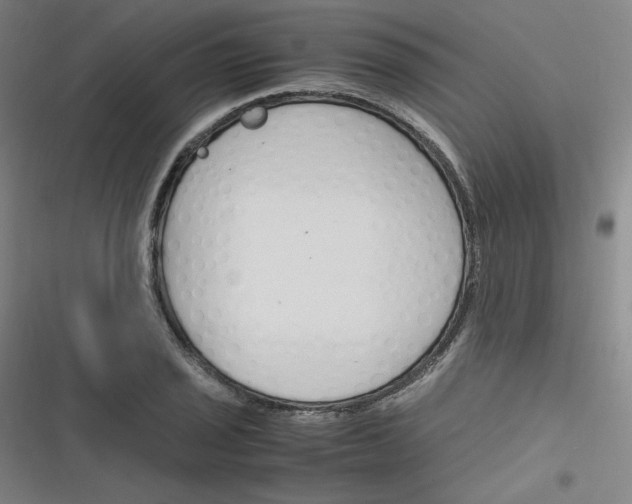 X0000116291029201001111052