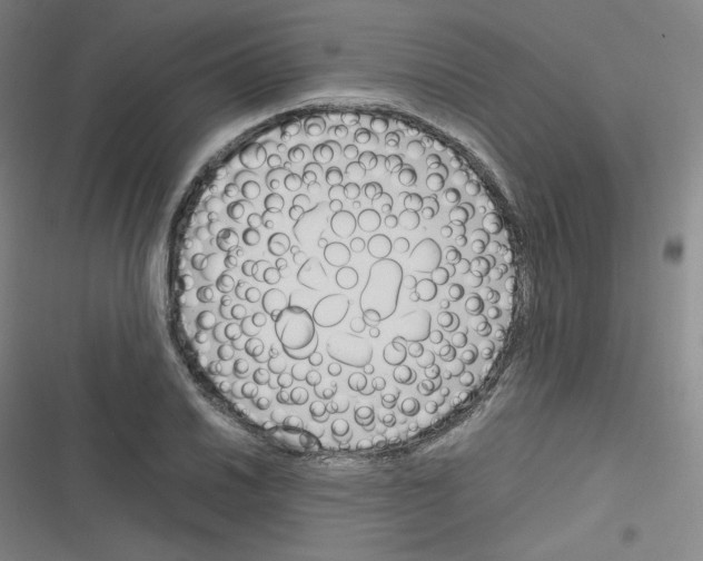 X0000116291030201001111052