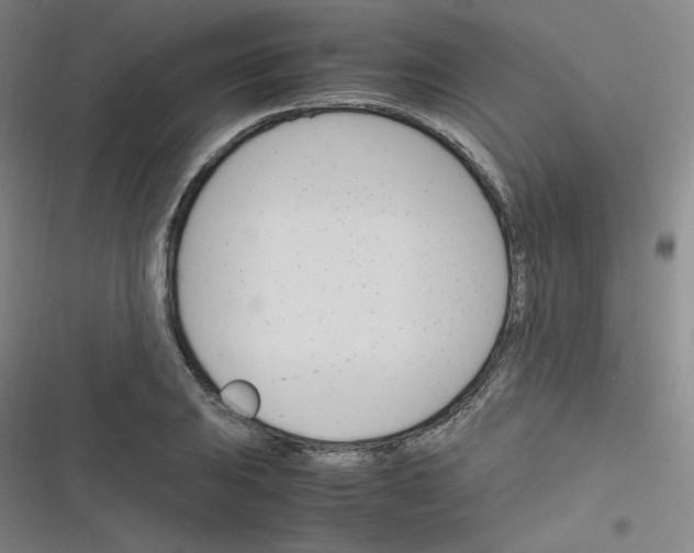 X0000116291031201001111052