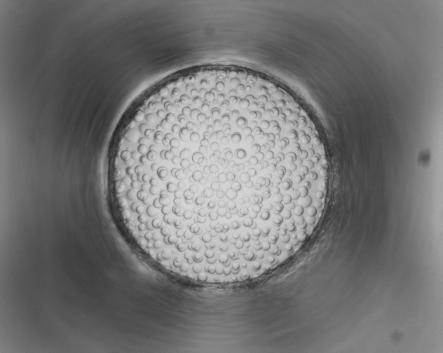 X0000116291032201001111052