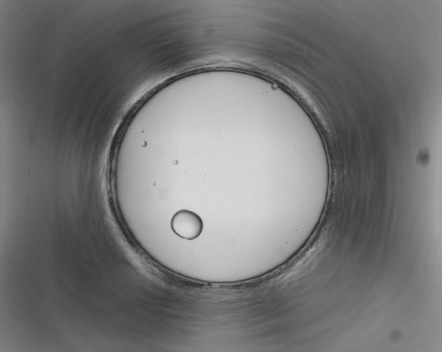 X0000116291034201001111052