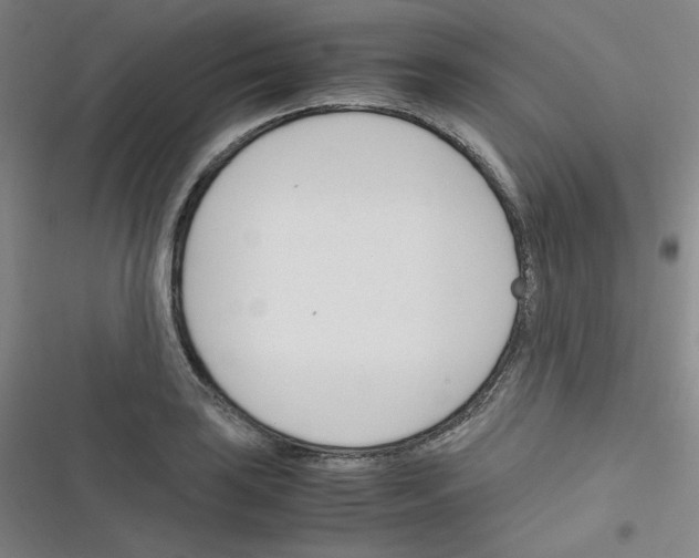 X0000116291035201001111052