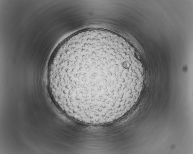 X0000116291036201001111052