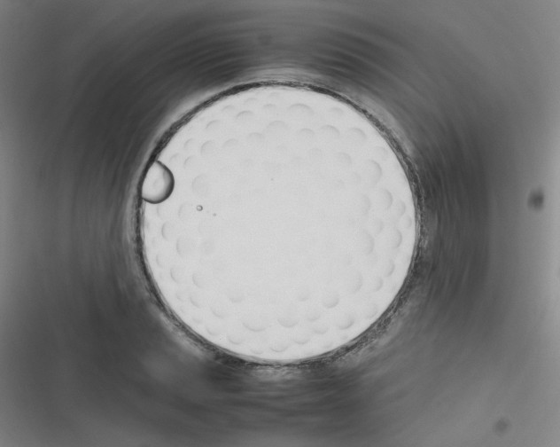 X0000116291037201001111052