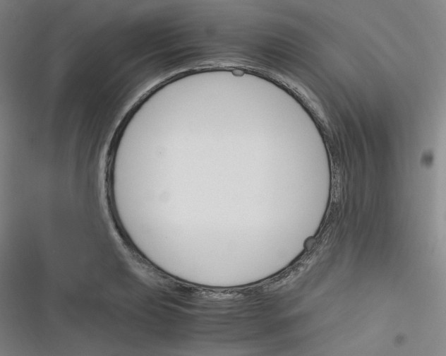 X0000116291039201001111052