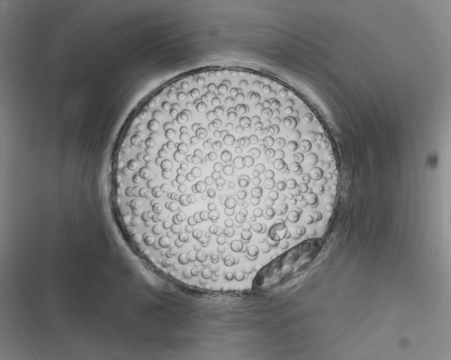 X0000116291040201001111052