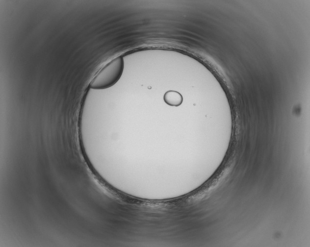 X0000116291041201001111052