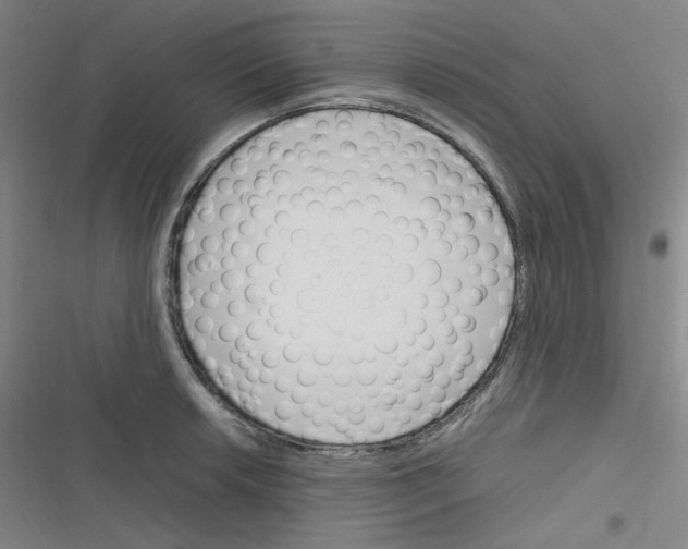 X0000116291042201001111052