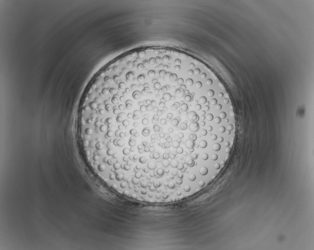 X0000116291044201001111052