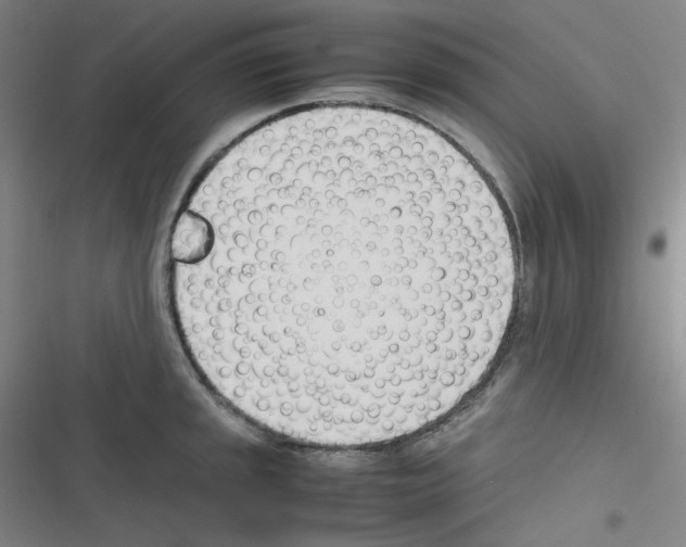 X0000116291045201001111052