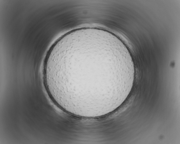 X0000116291046201001111052