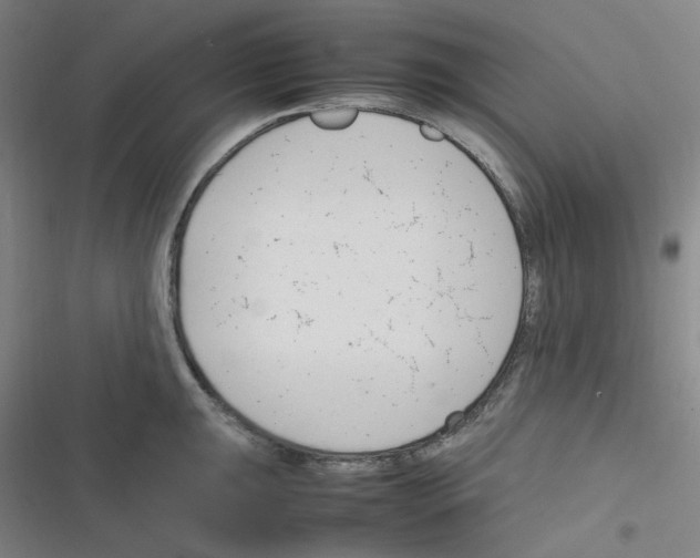 X0000116291047201001111052