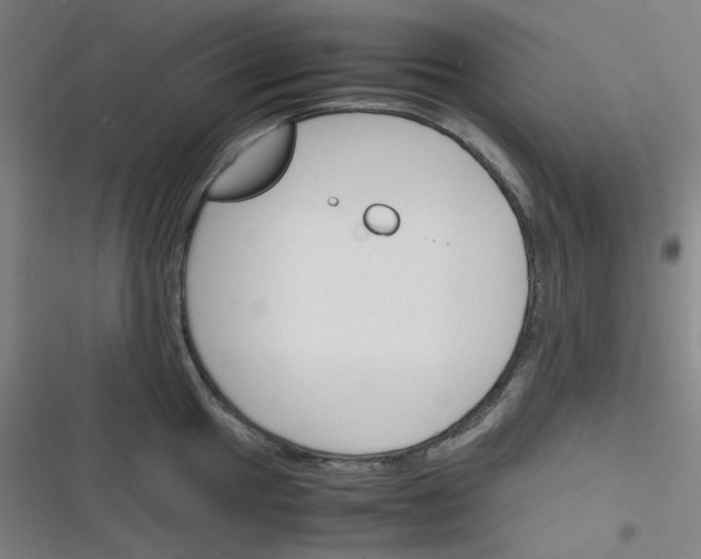 X0000116291049201001111052