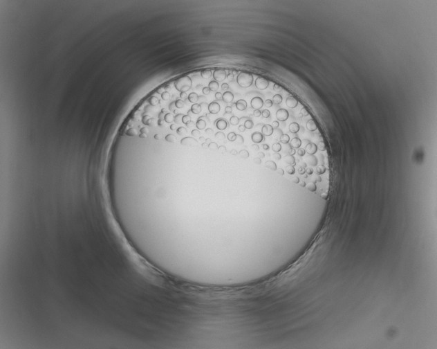 X0000116291050201001111052