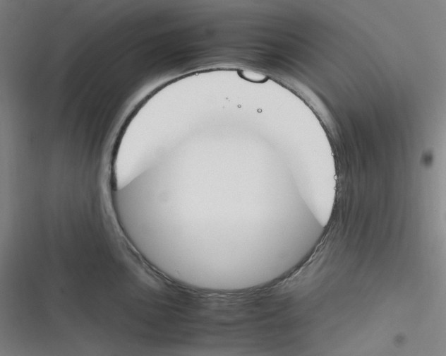 X0000116291051201001111052