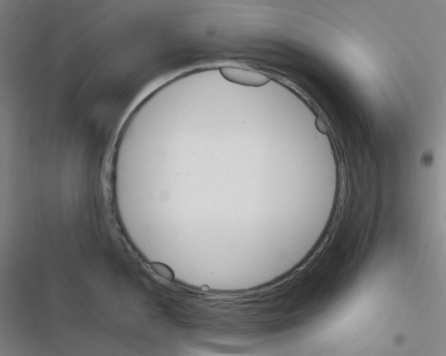 X0000116291052201001111052