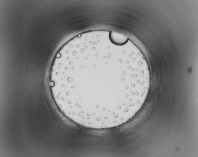 X0000116291053201001111052