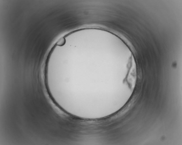 X0000116291054201001111052