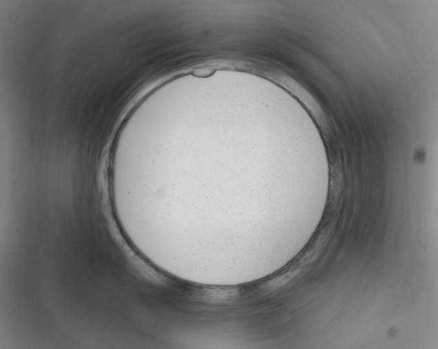 X0000116291055201001111052