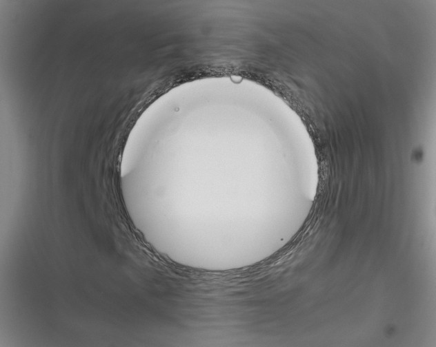 X0000116291057201001111052