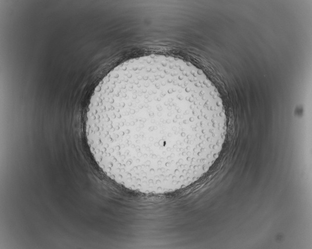 X0000116291058201001111052