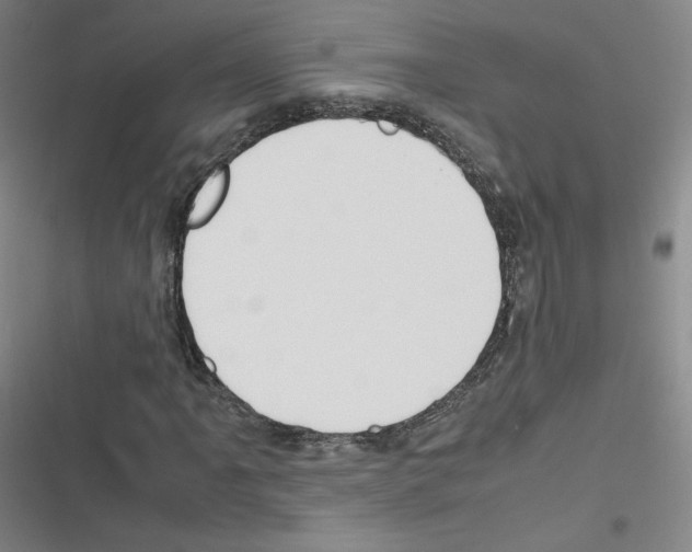 X0000116291061201001111052