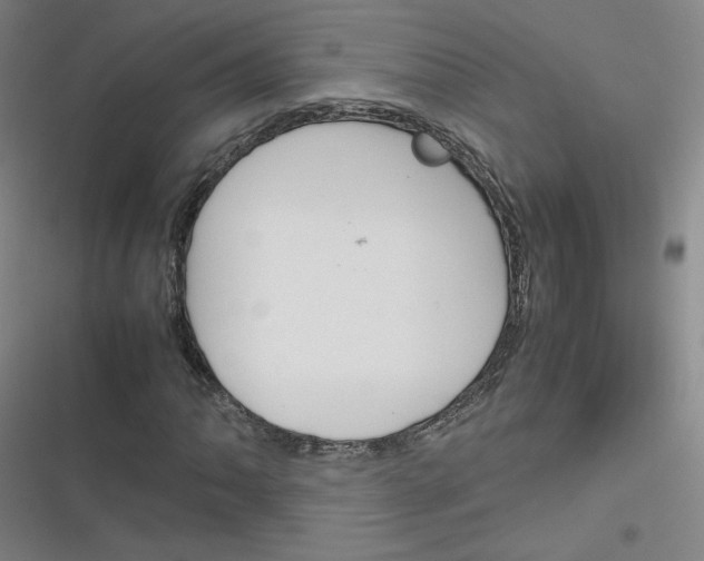 X0000116291062201001111052