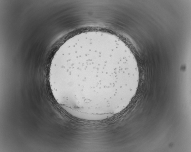 X0000116291064201001111052