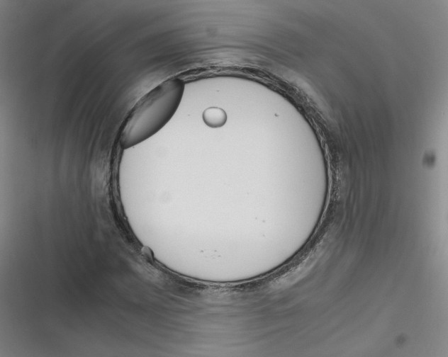 X0000116291065201001111052