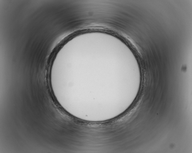 X0000116291066201001111052