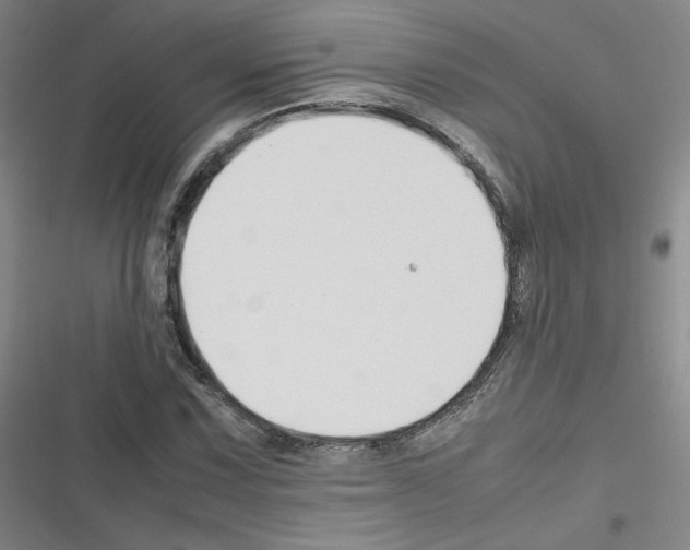 X0000116291067201001111052