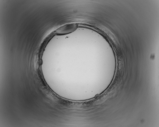 X0000116291069201001111052